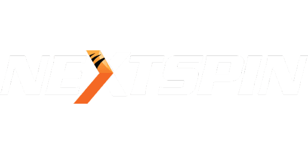 নেটসফট গেমিং